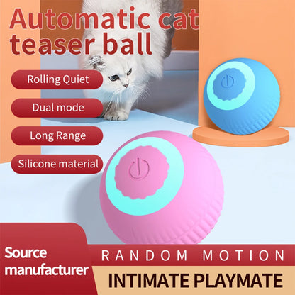 Interactive Cat Toys Ball Fast Rolling in Pouch Hide and Seek