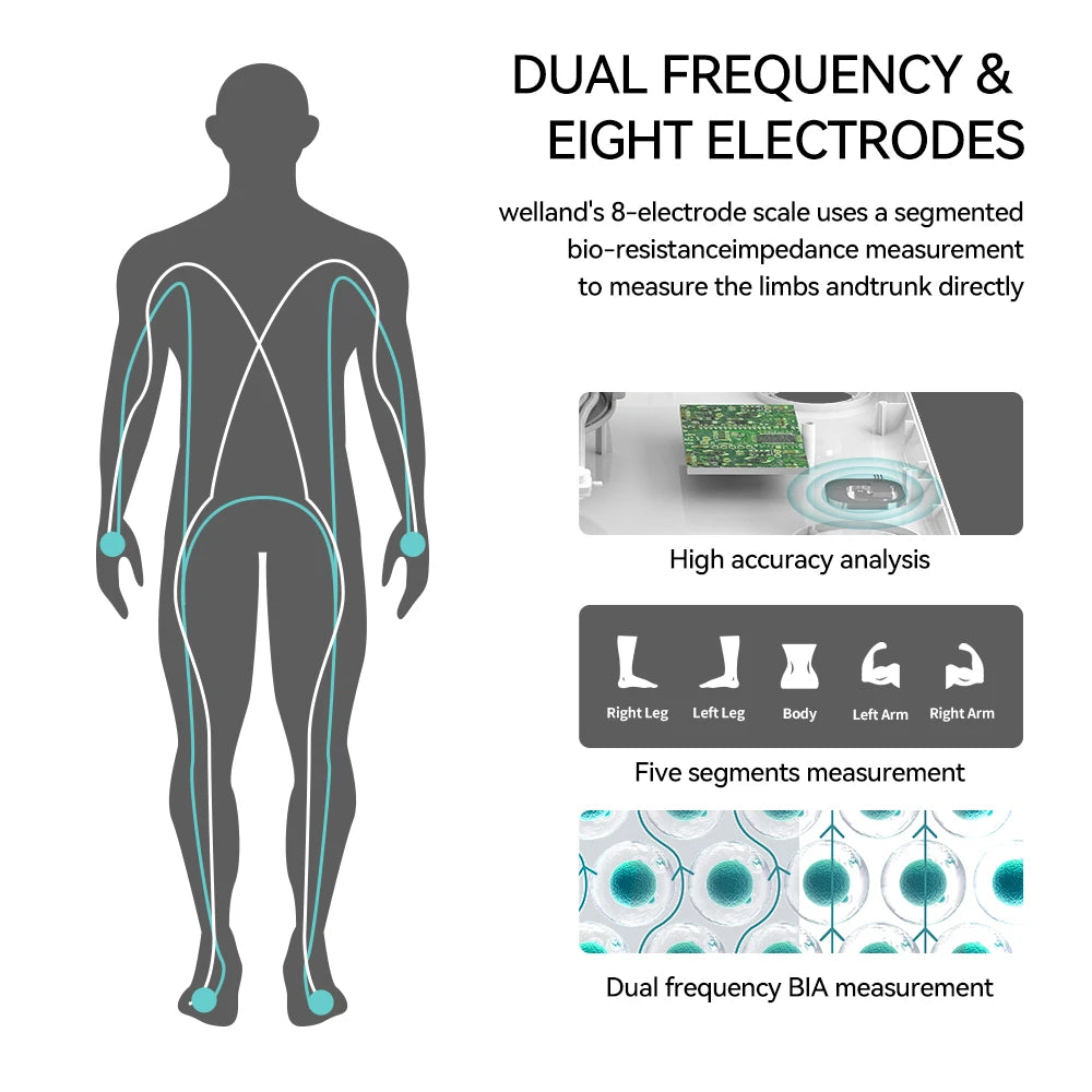 Electrode body indicators Scale