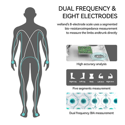 Electrode body indicators Scale