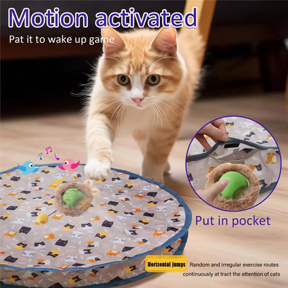 Interactive Cat Toys Ball Fast Rolling in Pouch Hide and Seek